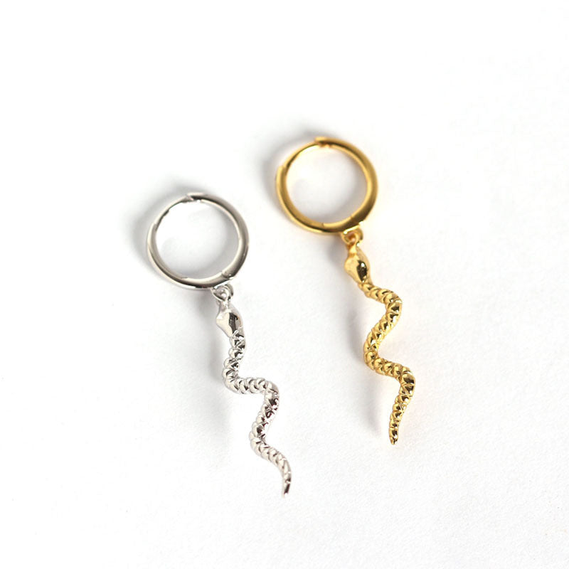 Courbe Enigmatique Earrings